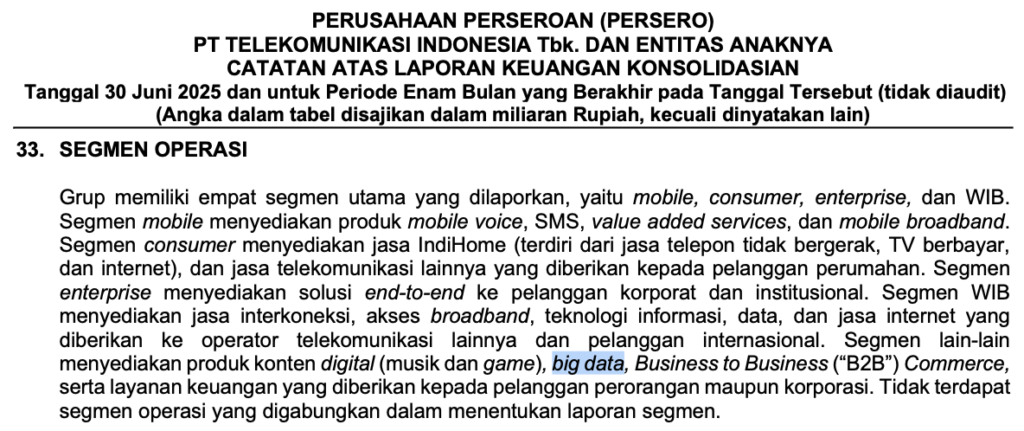 Snapshot Segmen Operasi Telkom Indonesia Jun-25